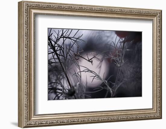 Moonwalker-Fabien Bravin-Framed Photographic Print