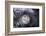 Moonwalker-Fabien Bravin-Framed Photographic Print