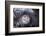 Moonwalker-Fabien Bravin-Framed Photographic Print