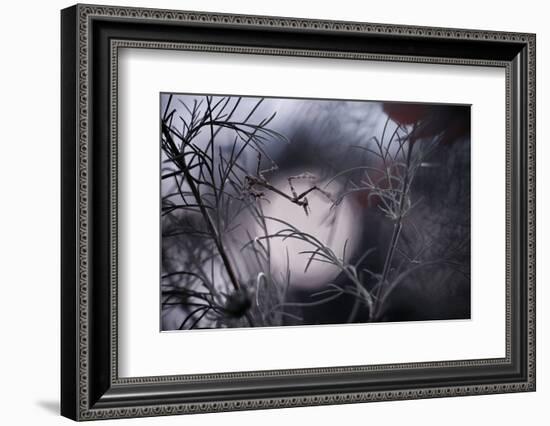 Moonwalker-Fabien Bravin-Framed Photographic Print