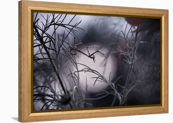 Moonwalker-Fabien Bravin-Framed Premier Image Canvas