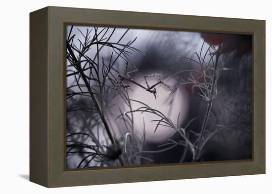 Moonwalker-Fabien Bravin-Framed Premier Image Canvas