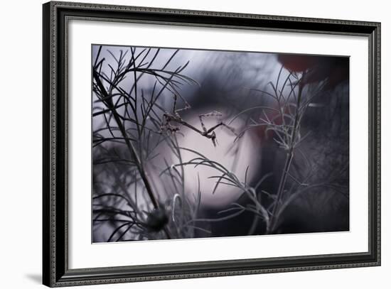 Moonwalker-Fabien Bravin-Framed Photographic Print