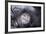 Moonwalker-Fabien Bravin-Framed Photographic Print