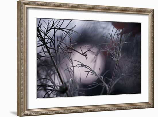 Moonwalker-Fabien Bravin-Framed Photographic Print