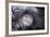 Moonwalker-Fabien Bravin-Framed Photographic Print