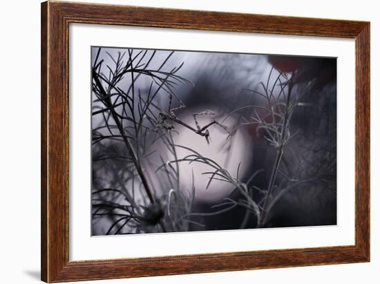 Moonwalker-Fabien Bravin-Framed Photographic Print