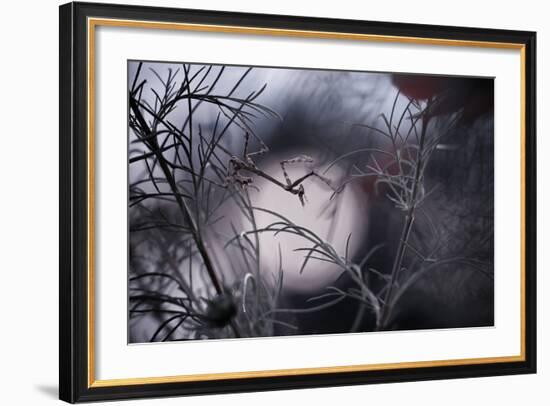 Moonwalker-Fabien Bravin-Framed Photographic Print