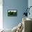 Moore Topiary-Larry Smart-Framed Premier Image Canvas displayed on a wall