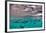 Moorea Lagoon-Nathan Secker-Framed Giclee Print