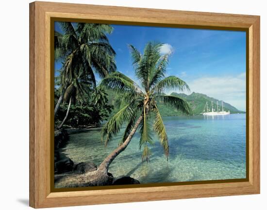 Moorea, Society Islands, French Polynesia-Peter Adams-Framed Premier Image Canvas