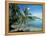 Moorea, Society Islands, French Polynesia-Peter Adams-Framed Premier Image Canvas