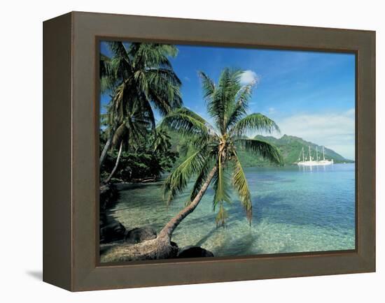 Moorea, Society Islands, French Polynesia-Peter Adams-Framed Premier Image Canvas