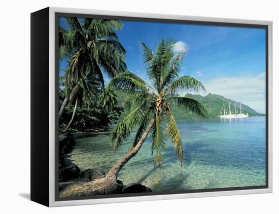 Moorea, Society Islands, French Polynesia-Peter Adams-Framed Premier Image Canvas