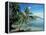 Moorea, Society Islands, French Polynesia-Peter Adams-Framed Premier Image Canvas