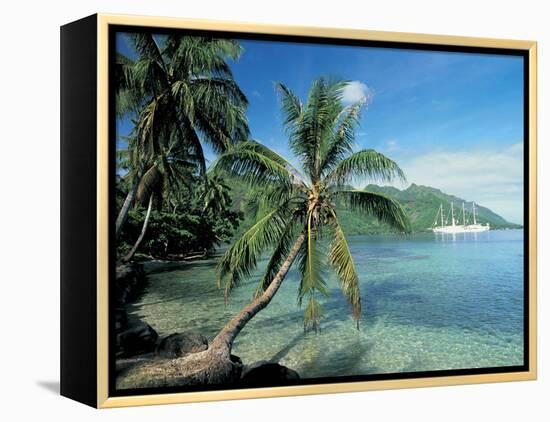 Moorea, Society Islands, French Polynesia-Peter Adams-Framed Premier Image Canvas