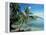 Moorea, Society Islands, French Polynesia-Peter Adams-Framed Premier Image Canvas