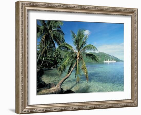 Moorea, Society Islands, French Polynesia-Peter Adams-Framed Photographic Print