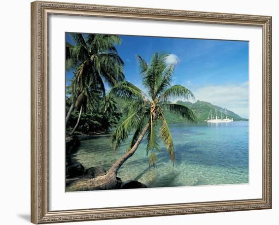 Moorea, Society Islands, French Polynesia-Peter Adams-Framed Photographic Print