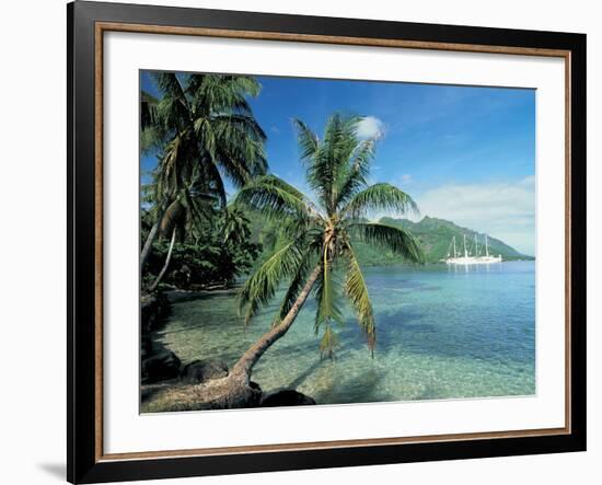 Moorea, Society Islands, French Polynesia-Peter Adams-Framed Photographic Print