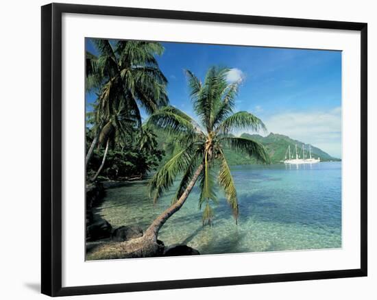 Moorea, Society Islands, French Polynesia-Peter Adams-Framed Photographic Print