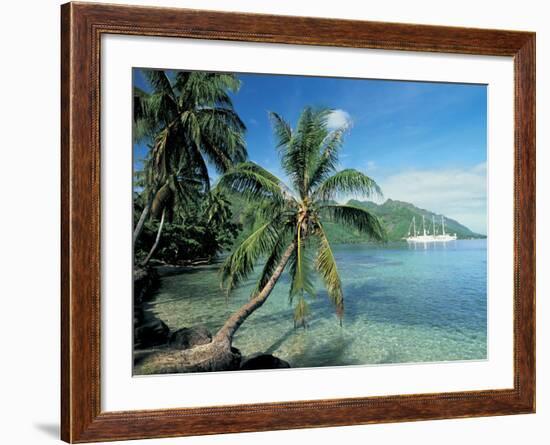 Moorea, Society Islands, French Polynesia-Peter Adams-Framed Photographic Print