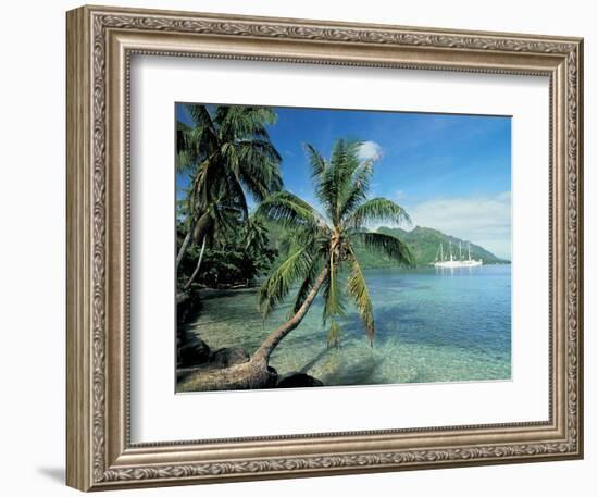 Moorea, Society Islands, French Polynesia-Peter Adams-Framed Photographic Print