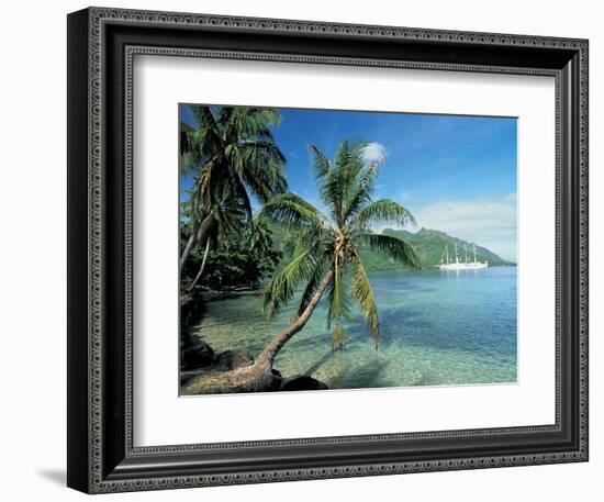 Moorea, Society Islands, French Polynesia-Peter Adams-Framed Photographic Print