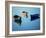 Moored Rowboats, Olhao, Portugal-Mitch Diamond-Framed Photographic Print