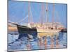 Moored Sailing Ships, Skagen, Denmark, 1999-Jennifer Wright-Mounted Giclee Print