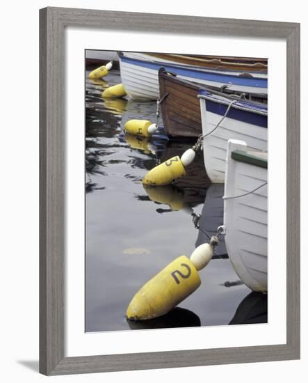 Mooring Buoys at the Center for Wooden Boats, Seattle, Washington, USA-Merrill Images-Framed Photographic Print