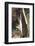 Moorish Idol (Zanclus Cornutus)-Reinhard Dirscherl-Framed Photographic Print