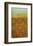 Moorish-Grant Louwagie-Framed Giclee Print