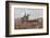 Moorland Gallup-Lionel Edwards-Framed Premium Giclee Print