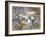 Moorland Larches, Yorkshire, c.1983-Isabel Alexander-Framed Giclee Print