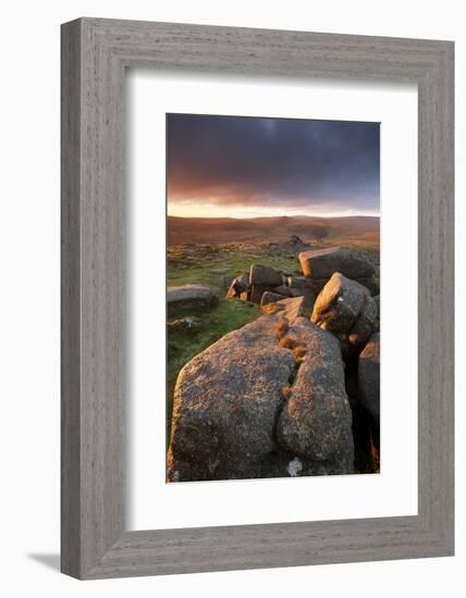 Moorland View at Belstone with Granite Outcrops, Near Okehampton, Dartmoor Np, Devon, England, UK-Ross Hoddinott-Framed Photographic Print