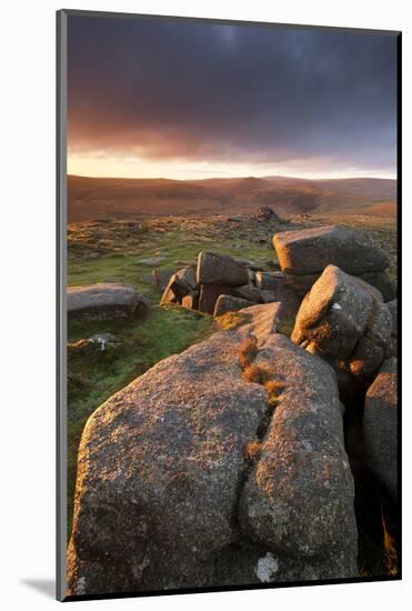 Moorland View at Belstone with Granite Outcrops, Near Okehampton, Dartmoor Np, Devon, England, UK-Ross Hoddinott-Mounted Photographic Print