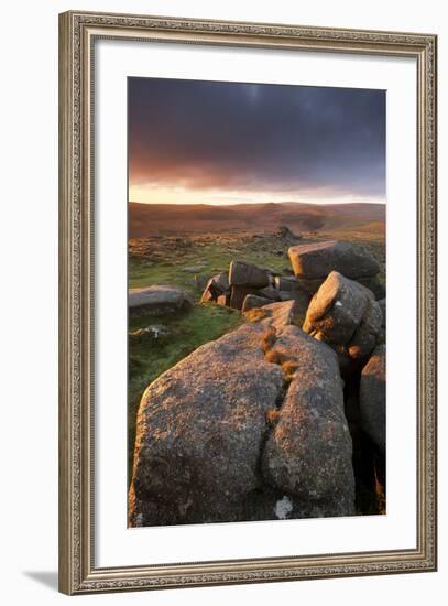 Moorland View at Belstone with Granite Outcrops, Near Okehampton, Dartmoor Np, Devon, England, UK-Ross Hoddinott-Framed Photographic Print