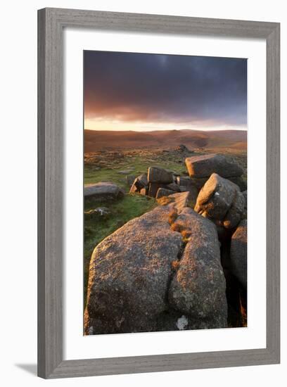 Moorland View at Belstone with Granite Outcrops, Near Okehampton, Dartmoor Np, Devon, England, UK-Ross Hoddinott-Framed Photographic Print