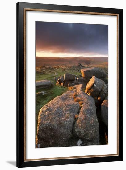 Moorland View at Belstone with Granite Outcrops, Near Okehampton, Dartmoor Np, Devon, England, UK-Ross Hoddinott-Framed Photographic Print