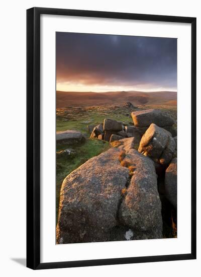 Moorland View at Belstone with Granite Outcrops, Near Okehampton, Dartmoor Np, Devon, England, UK-Ross Hoddinott-Framed Photographic Print