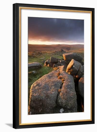 Moorland View at Belstone with Granite Outcrops, Near Okehampton, Dartmoor Np, Devon, England, UK-Ross Hoddinott-Framed Photographic Print