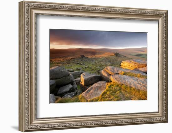 Moorland View at Belstone with Granite Outcrops, Near Okehampton, Dartmoor Np, Devon, England, UK-Ross Hoddinott-Framed Photographic Print