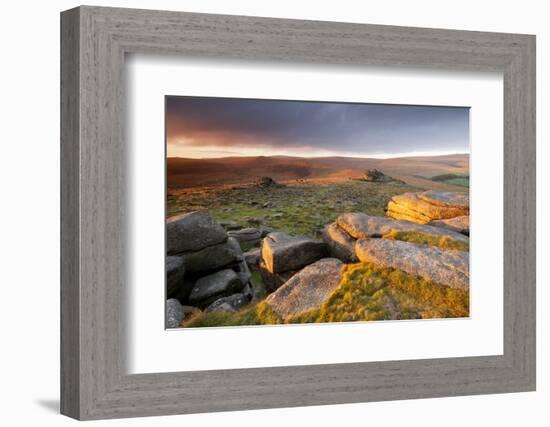 Moorland View at Belstone with Granite Outcrops, Near Okehampton, Dartmoor Np, Devon, England, UK-Ross Hoddinott-Framed Photographic Print