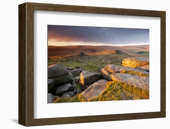 Moorland View at Belstone with Granite Outcrops, Near Okehampton, Dartmoor Np, Devon, England, UK-Ross Hoddinott-Framed Photographic Print