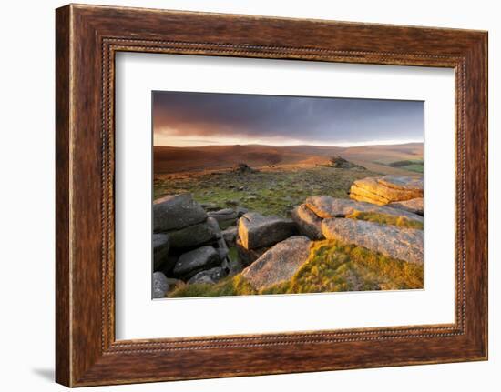 Moorland View at Belstone with Granite Outcrops, Near Okehampton, Dartmoor Np, Devon, England, UK-Ross Hoddinott-Framed Photographic Print