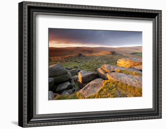 Moorland View at Belstone with Granite Outcrops, Near Okehampton, Dartmoor Np, Devon, England, UK-Ross Hoddinott-Framed Photographic Print