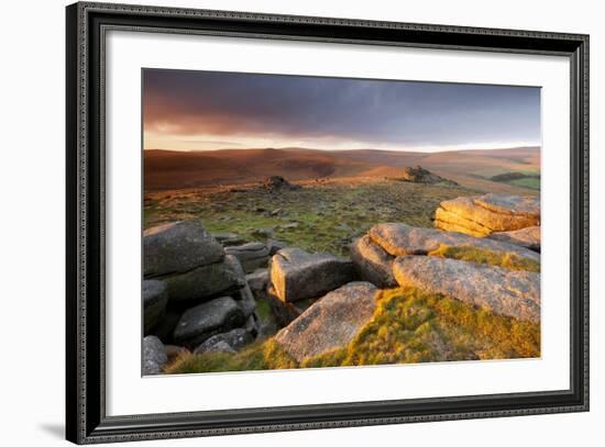 Moorland View at Belstone with Granite Outcrops, Near Okehampton, Dartmoor Np, Devon, England, UK-Ross Hoddinott-Framed Photographic Print