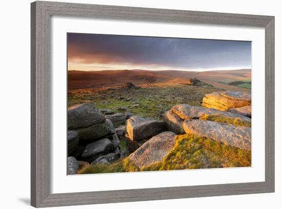 Moorland View at Belstone with Granite Outcrops, Near Okehampton, Dartmoor Np, Devon, England, UK-Ross Hoddinott-Framed Photographic Print