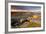 Moorland View at Belstone with Granite Outcrops, Near Okehampton, Dartmoor Np, Devon, England, UK-Ross Hoddinott-Framed Photographic Print